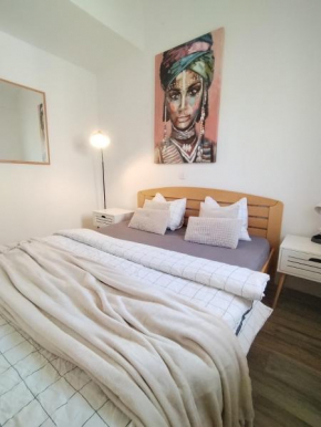 Centar Novi Sad-Apartman No 3